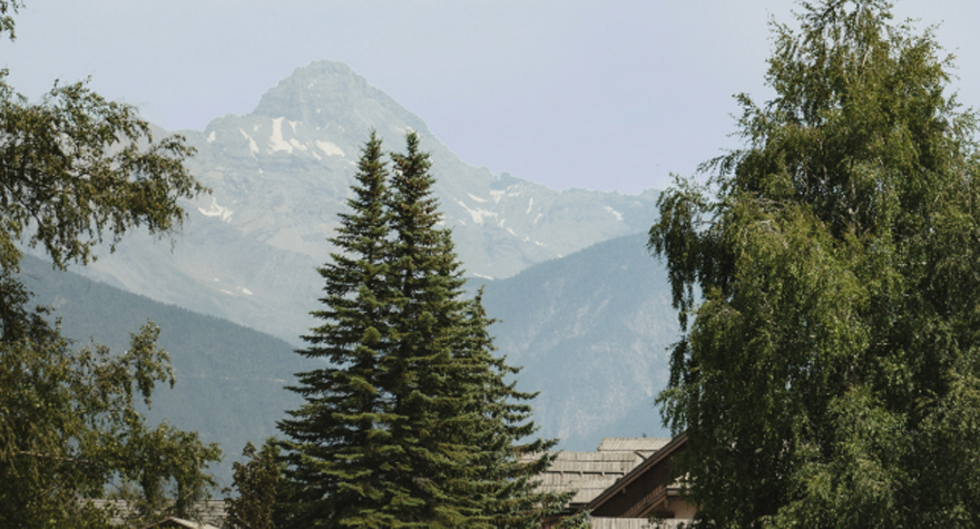 Les Alpes en été